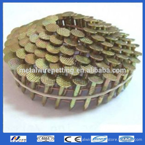 screw shank and ring shank common coiled nails with pallet